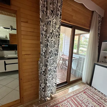 Palm מלון