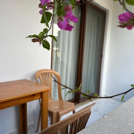 Palm Çıralı