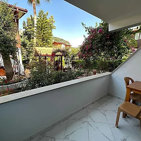 Palm Çıralı