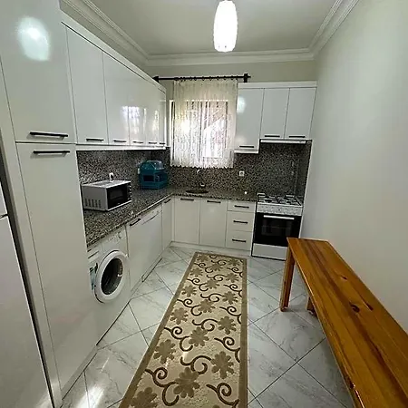 Palm Çıralı