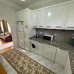 Palm Çıralı