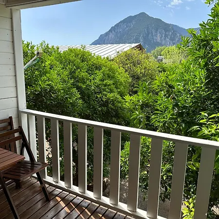 酒店 Palm Çıralı